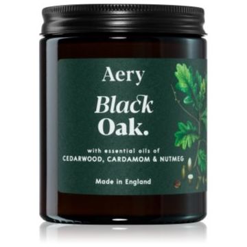 Aery Botanical Black Oak lumânare parfumată ieftin