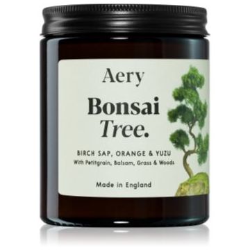 Aery Botanical Bonsai Tree lumânare parfumată ieftin