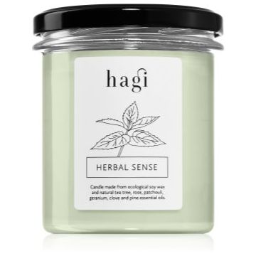 Hagi Herbal Sense lumânare parfumată ieftin