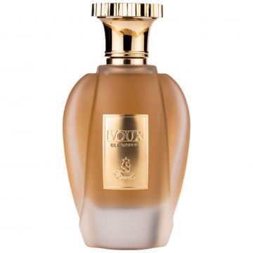 Voux Elegante by Emir - parfum arabesc barbati - EDP 100 ml de firma original