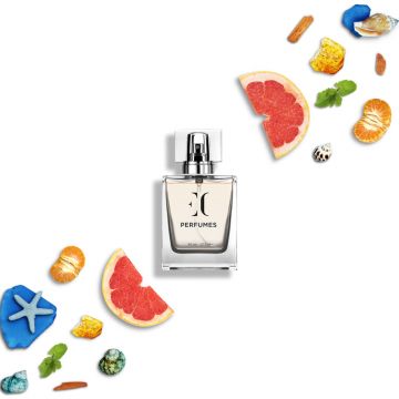 Parfum barbati Ginsari 91(EC 291), Fresh/ Acvatic, 50 ml ieftin