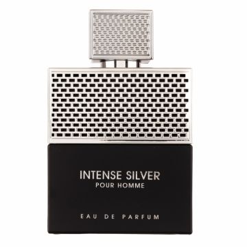 Parfum Intense Silver Pour Homme, Fragrance World, apa de parfum 100 ml, barbati