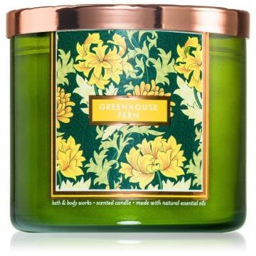 Bath & Body Works Greenhouse Fern lumânare parfumată de firma original