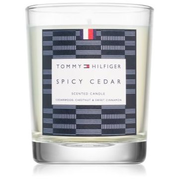 Tommy Hilfiger Home Collection Spicy Cedar lumanare