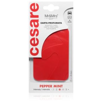 Mr & Mrs Fragrance Cesare Peppermint card parfumat