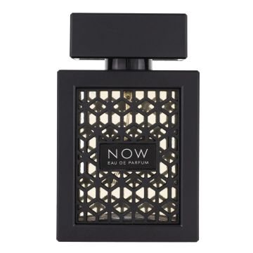 Rave Now, apa de parfum 100 ml, barbati la reducere