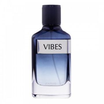 Apa de Parfum Vibes Fariis Barbati - 100ml ieftin