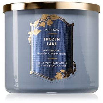 Bath & Body Works Frozen Lake lumânare parfumată