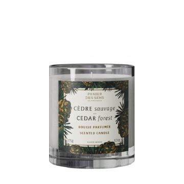 Cedar forest home scented candle 275 gr