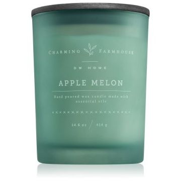 DW Home Charming Farmhouse Apple Melon lumânare parfumată