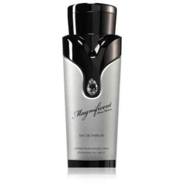 Armaf Magnificent Pour Homme Eau de Parfum pentru bărbați