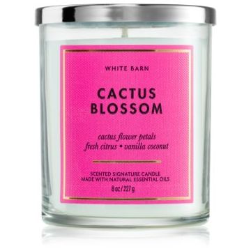 Bath & Body Works Cactus Blossom lumânare parfumată