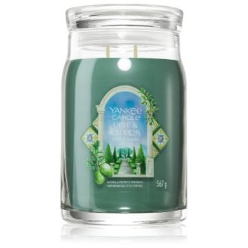 Yankee Candle Olive & Cypress lumânare parfumată