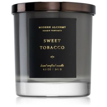 DW Home Modern Alchemy Sweet Tobacco lumânare parfumată de firma original