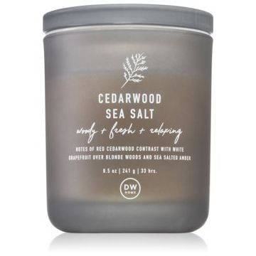 DW Home Prime Cedarwood Sea Salt lumânare parfumată ieftin