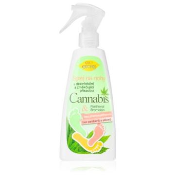 Bione Cosmetics Cannabis deodorant pentru picioare