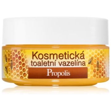 Bione Cosmetics Honey + Q10 vaselina cosmetica ieftina