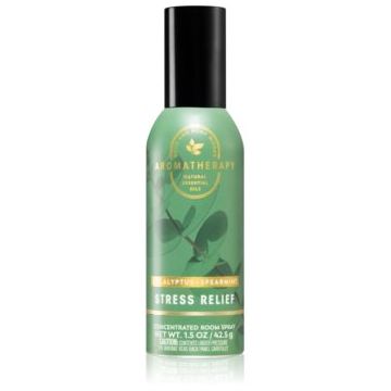 Bath & Body Works Eucalyptus Spearmint spray pentru camera I.