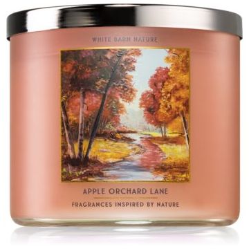 Bath & Body Works Apple Orchard Lane lumânare parfumată ieftin