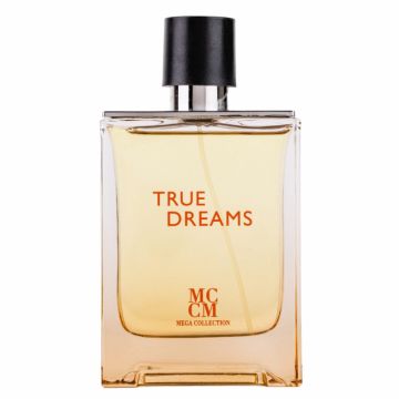 Parfum True Dreams, apa de parfum 100 ml, barbati - inspirat din Hermes Terre de firma original