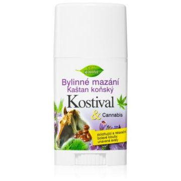 Bione Cosmetics Cannabis Kostival balsam relaxant pentru masaj stick