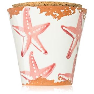 Wax Design Starfish Seabed lumânare parfumată ieftin