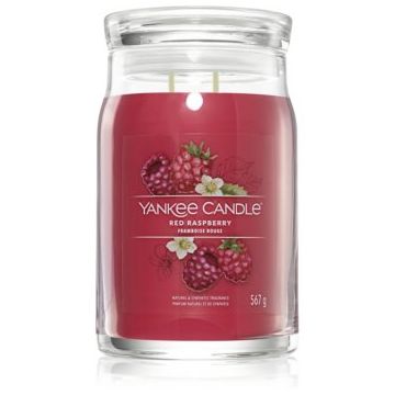 Yankee Candle Red Raspberry lumânare parfumată I. Signature ieftin