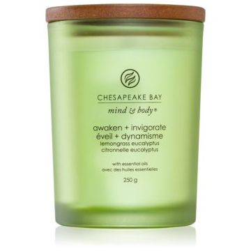 Chesapeake Bay Candle Mind & Body Awaken & Invigorate lumânare parfumată de firma original