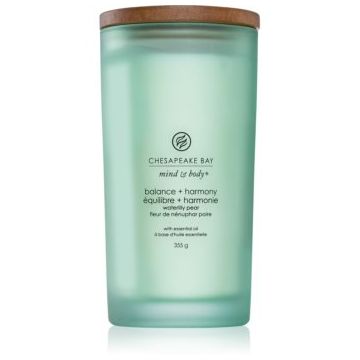 Chesapeake Bay Candle Mind & Body Balance & Harmony lumânare parfumată de firma original