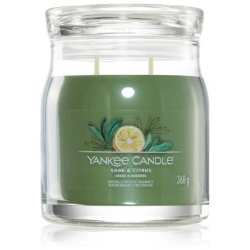 Yankee Candle Sage & Citrus lumânare parfumată Signature Signature ieftin