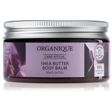 Organique Black Orchid balsam hranitor pentru corp unt de shea