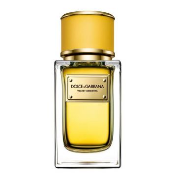 Dolce&Gabbana Velvet Ginestra, Femei, Apa de Parfum (Concentratie: Apa de Parfum, Gramaj: 50 ml) de firma original