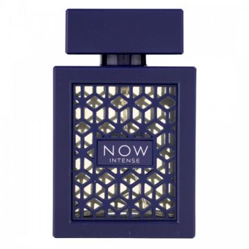 Apa de Parfum Now Intense Rave Barbati - 100ml ieftin