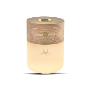 Difuzor de parfum electric Smart – Gingko
