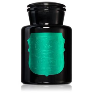 Paddywax Apothecary Noir Tabac & Pine lumânare parfumată ieftin