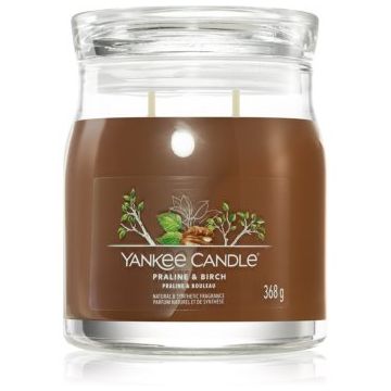 Yankee Candle Praline & Birch lumânare parfumată ieftin