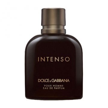 Dolce&Gabbana Pour Homme Intenso, Apa de Parfum (Concentratie: Apa de Parfum, Gramaj: 125 ml Tester) ieftin