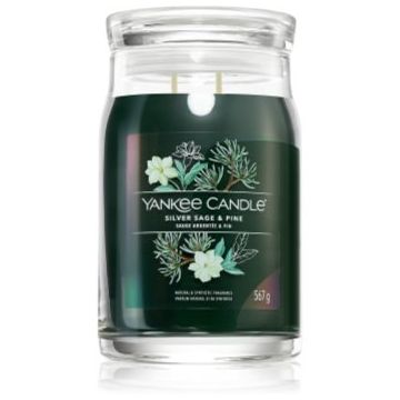 Yankee Candle Silver Sage & Pine lumânare parfumată Signature ieftin