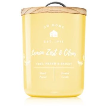 DW Home Farmhouse Lemon Zest & Citrus lumânare parfumată ieftin