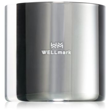 Wellmark Bold Future lumânare parfumată