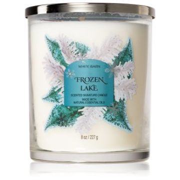 Bath & Body Works Frozen Lake lumânare parfumată ieftin