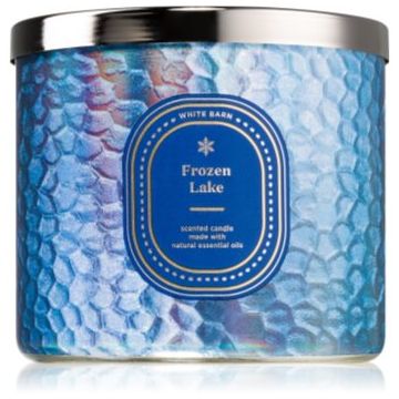 Bath & Body Works Frozen Lake lumânare parfumată ieftin