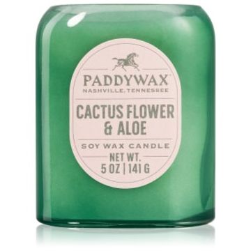 Paddywax Vista Cactus Flower & Aloe lumânare parfumată ieftin