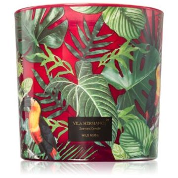 Vila Hermanos Jungletopia Wild Musk lumânare parfumată de firma original