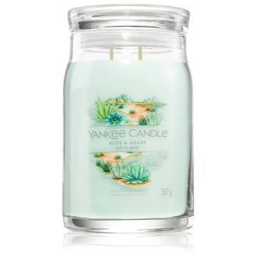 Yankee Candle Aloe & Agave lumânare parfumată ieftin