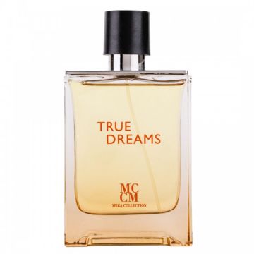 Apa de Parfum True Dreams Mega Collection Barbati - 100ml