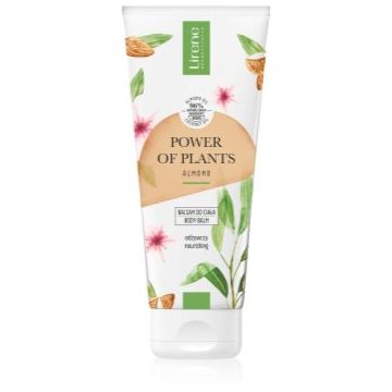 Lirene Power of Plants Almond balsam pentru corp intens hrănitor pentru regenerarea pielii