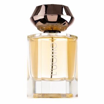 Parfum Fw L Uomo, Fragrance World, apa de parfum 100 ml, barbati - inspirat din L Homme by Yves Saint Laurent